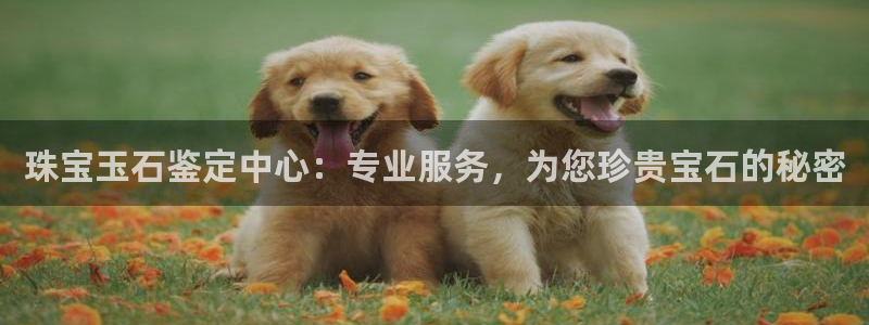 开丰娱乐月：珠宝玉石鉴定中心：专业服务，为您珍贵宝石的秘密