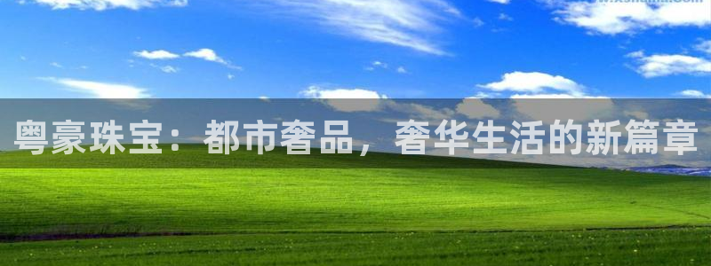 开丰娱乐登入地址查询：粤豪珠宝：都市奢品，奢华生活的新篇章