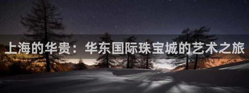 开丰娱乐登录：上海的华贵：华东国际珠宝城的艺术之旅