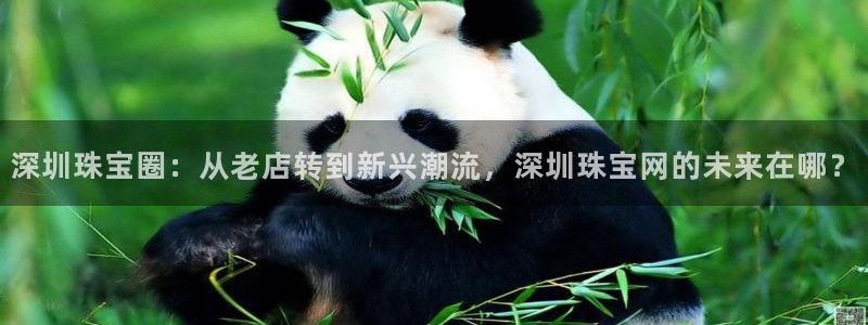 开丰娱乐67 5138：深圳珠宝圈：从老店转到新兴潮流，深圳珠宝网的未来在哪？