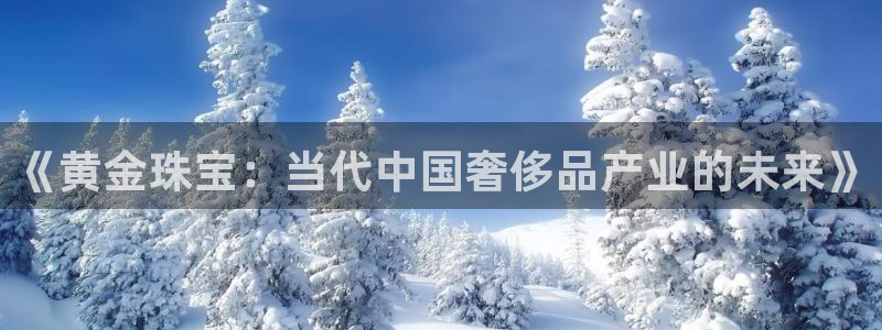 如何注册开丰娱乐账号：《黄金珠宝：当代中国奢侈品产业的未来》