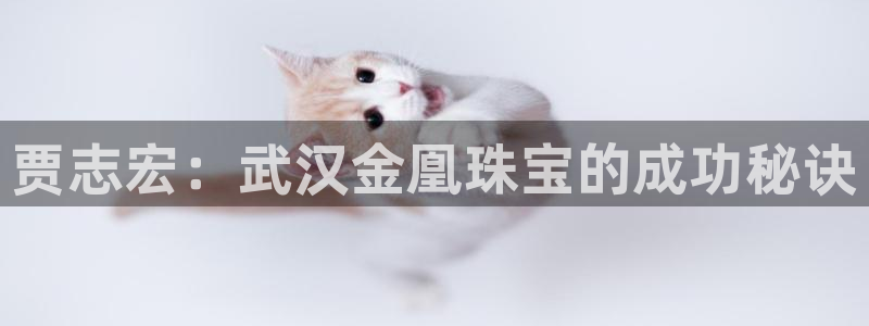 开丰娱乐测速：贾志宏：武汉金凰珠宝的成功秘诀