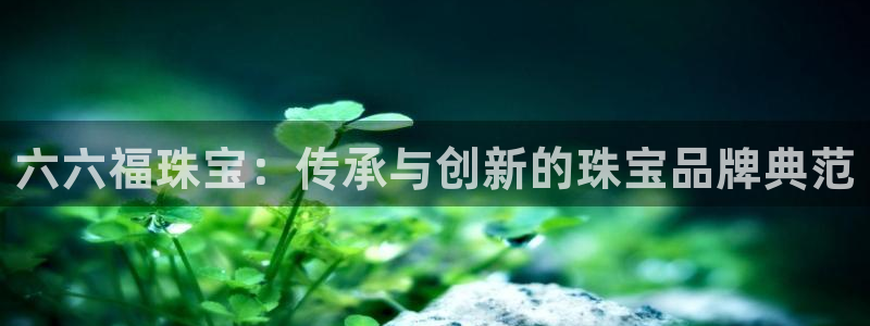 开丰娱乐登录：六六福珠宝：传承与创新的珠宝品牌典范
