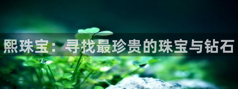 开丰娱乐新登录平台：熙珠宝：寻找最珍贵的珠宝与钻石