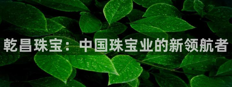 开丰娱乐左：乾昌珠宝：中国珠宝业的新领航者