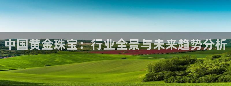 开丰娱乐趣 7O935：中国黄金珠宝：行业全景与未来趋势分析