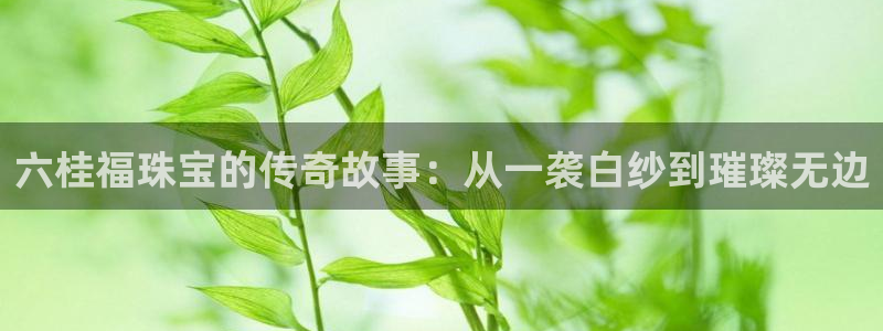 如何注册开丰娱乐账号：六桂福珠宝的传奇故事：从一袭白纱到璀璨无边