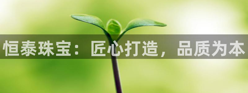 开丰娱乐体育平台：恒泰珠宝：匠心打造，品质为本