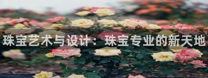 开丰娱乐除7O777：珠宝艺术与设计：珠宝专业的新天地