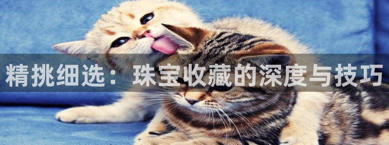 开丰娱乐登录平台下载：精挑细选：珠宝收藏的深度与技巧
