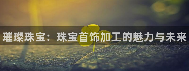 开丰娱乐网站：璀璨珠宝：珠宝首饰加工的魅力与未来