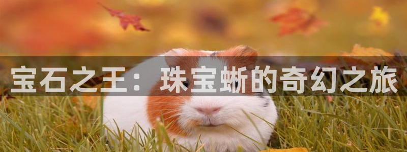 开丰娱乐怎么样