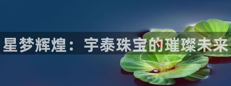 开丰娱乐登入地址：星梦辉煌：宇泰珠宝的璀璨未来