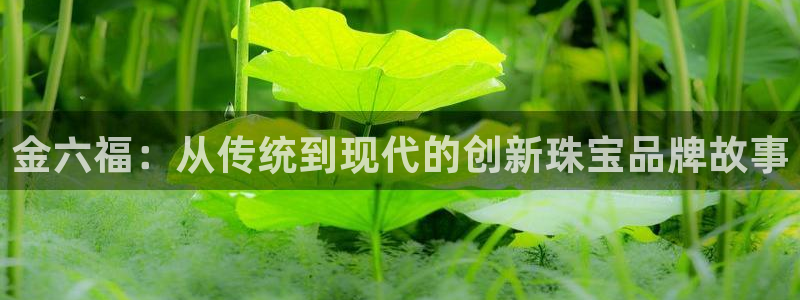 开丰娱乐登录地址入口：金六福：从传统到现代的创新珠宝品牌故事