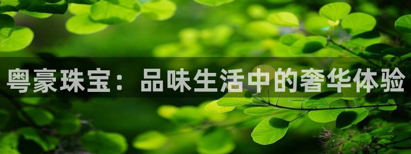 开丰娱乐登录平台：粤豪珠宝：品味生活中的奢华体验