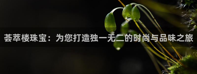 开丰娱乐登录平台下载：荟萃楼珠宝：为您打造独一无二的时尚与品味之旅