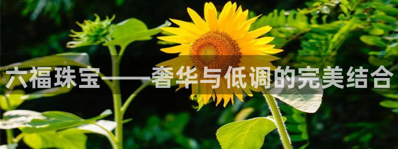 开丰娱乐登陆：六福珠宝——奢华与低调的完美结合