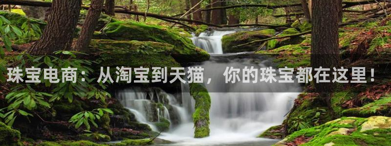 开丰娱乐主管：珠宝电商：从淘宝到天猫，你的珠宝都在这里！