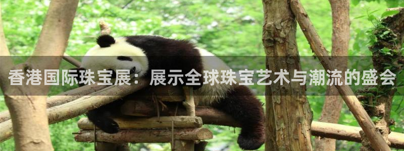 开丰娱乐登入：香港国际珠宝展：展示全球珠宝艺术与潮流的盛会