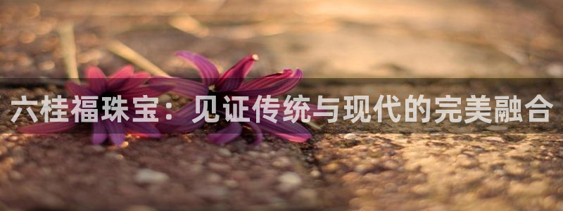 开丰娱乐趣 7O935：六桂福珠宝：见证传统与现代的完美融合