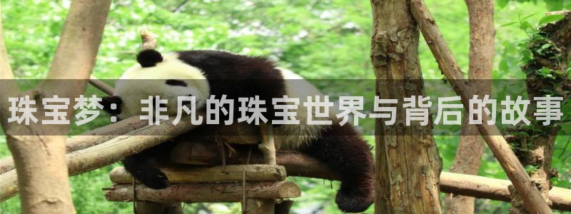 开丰娱乐 赢咖一：珠宝梦：非凡的珠宝世界与背后的故事