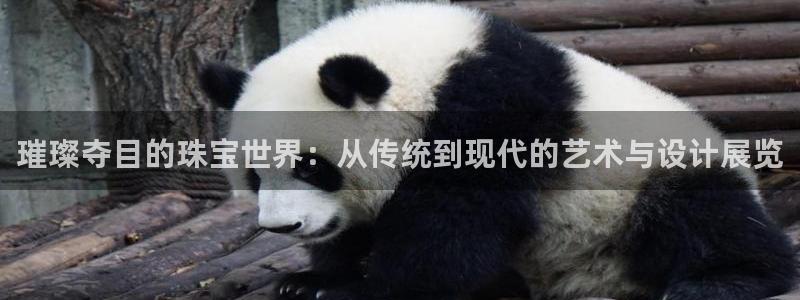 开丰娱乐地址：璀璨夺目的珠宝世界：从传统到现代的艺术与设计展览