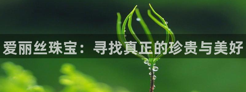 开丰娱乐登录网址：爱丽丝珠宝：寻找真正的珍贵与美好