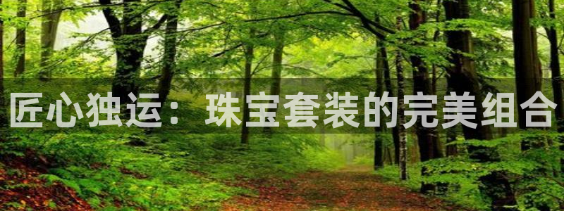 开丰娱乐平台地址电话：匠心独运：珠宝套装的完美组合