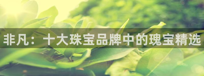 开丰娱乐登录平台下载：非凡：十大珠宝品牌中的瑰宝精选