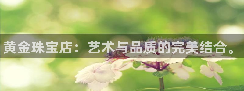 开丰娱乐平台地址查询：黄金珠宝店：艺术与品质的完美结合。