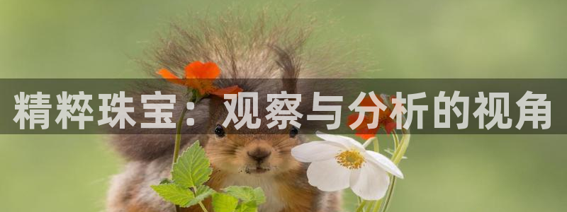 开丰娱乐地址：精粹珠宝：观察与分析的视角