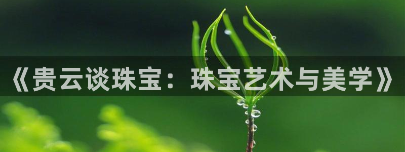 开丰娱乐官网登录网址：《贵云谈珠宝：珠宝艺术与美学》
