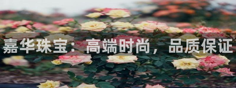 开丰娱乐官网平台下载：嘉华珠宝：高端时尚，品质保证