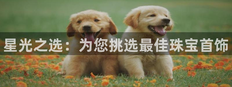 开丰娱乐登录：星光之选：为您挑选最佳珠宝首饰