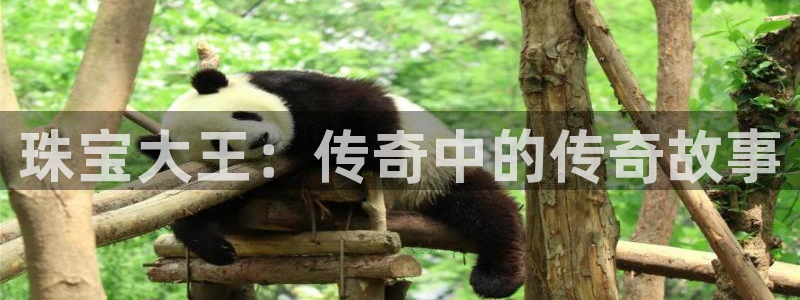 开丰娱乐网址：珠宝大王：传奇中的传奇故事