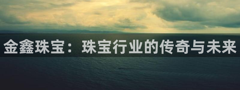 开丰娱乐左：金鑫珠宝：珠宝行业的传奇与未来