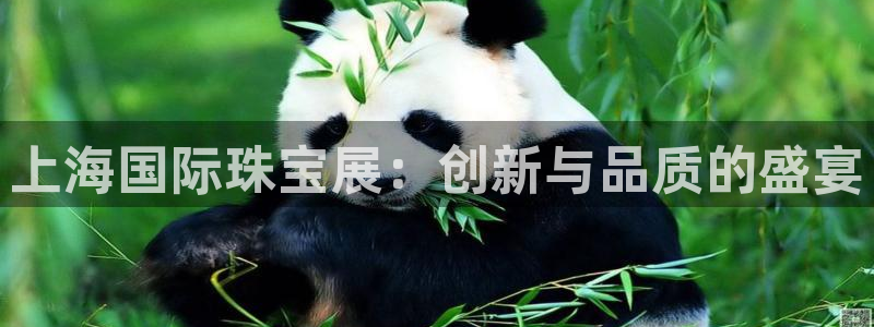 开丰娱乐天7O667：上海国际珠宝展：创新与品质的盛宴
