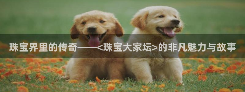 开丰娱乐登陆：珠宝界里的传奇——<珠宝大家坛>的非凡魅力与故事