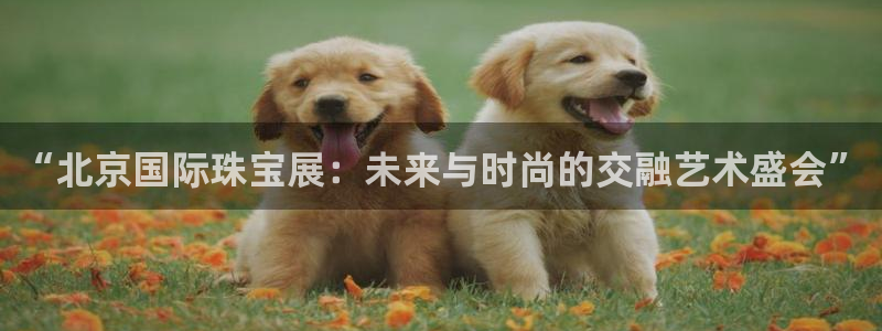 开丰娱乐趣 7O935：“北京国际珠宝展：未来与时尚的交融艺术盛会”