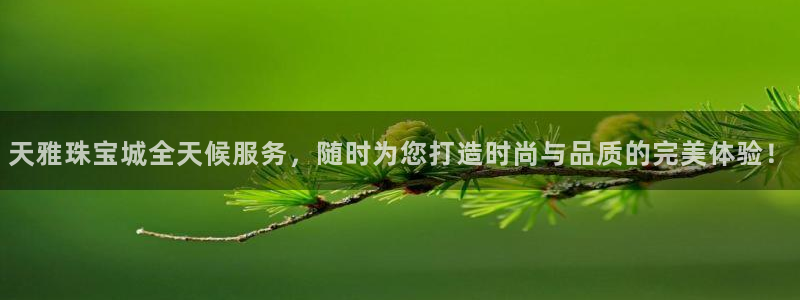 开丰娱乐 赢咖一：天雅珠宝城全天候服务，随时为您打造时尚与品质的完美体验！