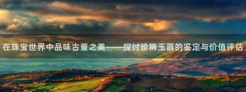 圩丰刚开的娱乐场所：在珠宝世界中品味古董之美——探讨珍稀玉器的鉴定与价值评估