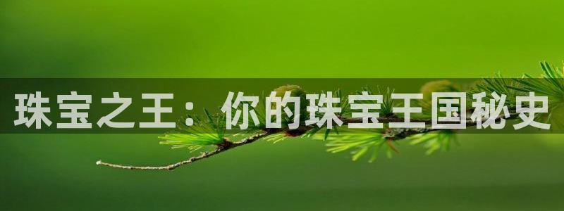开丰娱乐不开了吗：珠宝之王：你的珠宝王国秘史