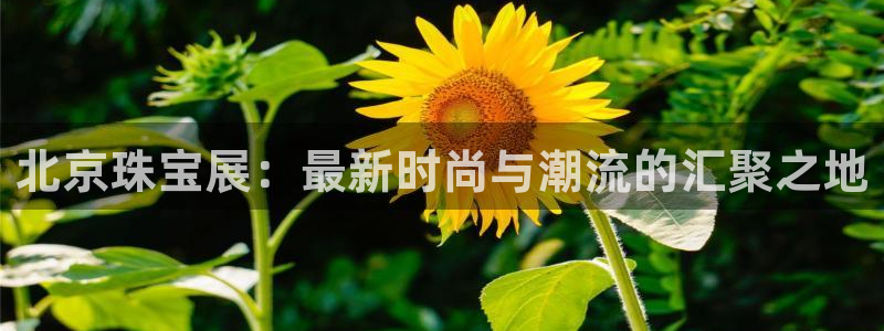 下载开丰娱乐
