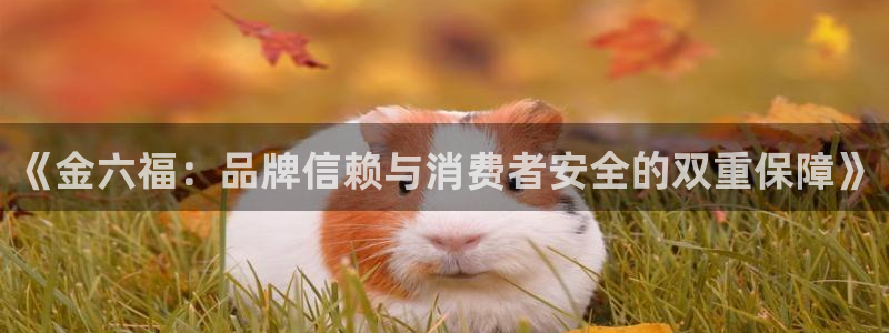 开丰娱乐注册电7O777：《金六福：品牌信赖与消费者安全的双重保障》