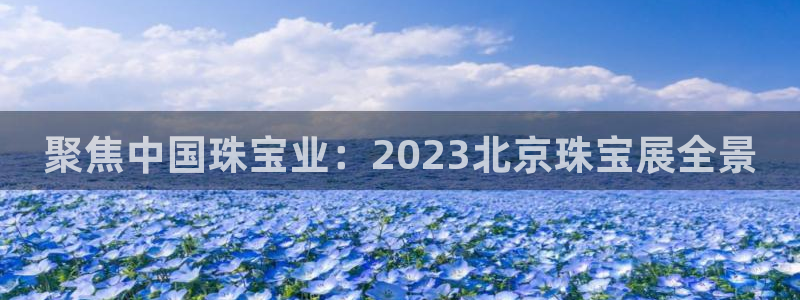 开丰娱乐网站官网入口
