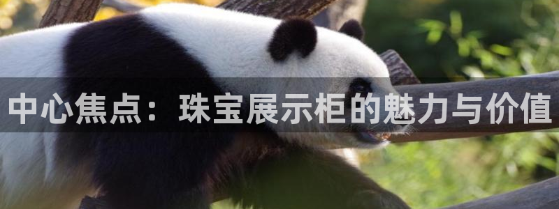 开丰娱乐注册资金多少：中心焦点：珠宝展示柜的魅力与价值