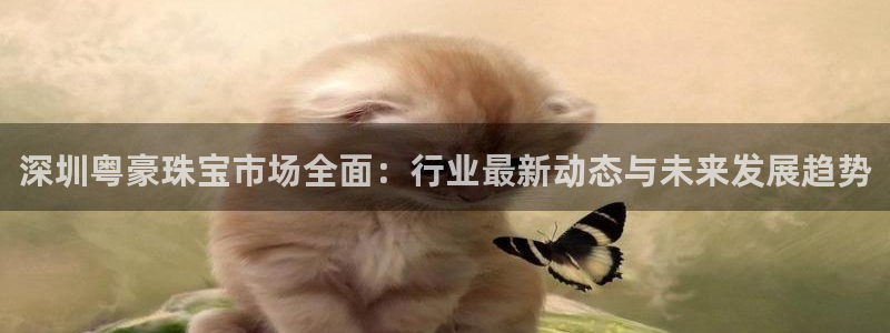 开丰娱乐注册电7O777：深圳粤豪珠宝市场全面：行业最新动态与未来发展趋势